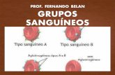 PROF. FERNANDO BELAN GRUPOS SANGUÍNEOSbiologiamais.com.br/download-337/aulas-29-e-30-grupos-sanguineos-e-fator-rh.pdfa) Considerando que o pai de Joao apresenta somente aglutininas