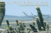 Cactáceas y Suculentas Mexicanasweb.ecologia.unam.mx/cactsucmex/Cactaceas2010_1.pdfCactáceas y Suculentas Mexicanas es una revista trimestral de circu-lación internacional y arbitrada,