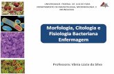 Morfologia, Citologia e Fisiologia Bacteriana Enfermagem · celular, composto de polissacarídeo e/ou polipeptídeo. • Proteção da célula bacteriana contra desidratação. ...