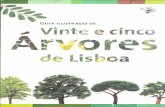 Lis'-Noa · IP.Nnte e cinco árvores de Lisboa Apresentação Na cidade, as árvores melhoram a qualidade do ar, produzindo oxigénio através da fotossíntese, evitam a erosão segurando