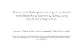 Prospects and challenges concerning carbon dioxide removal ...€¦ · Prospects and challenges concerning carbon dioxide removal from the atmosphere by biomass-based capture and