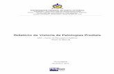 Relatório de Vistoria de Patologias Prediais · Relatório da Vistoria de Patologias Prediais – Página 6 METODOLOGIA Diretrizes utilizadas para levantamento de dados e definição