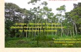 Ecología y Silviculura de Palo Blanco (Tabebuia donnell ...iia. · PDF file Seminario Investigación en RNR Ecología y Silviculura de Palo Blanco (Tabebuia donnell-smithii) en plantaciones