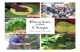Recetas con Chaya - proyectocan.org · como diarrea. Vitamina A es un nutriente esencial para el crecimiento de niños. • También la chaya lleva los nutrientes de Vitamina C, ácido