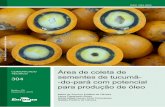 Área de coleta de 304 sementes de tucumã- -do-pará com ...ainfo.cnptia.embrapa.br/Digital/Bitstream/Item/202754/1/CPATU-COM-TEC-304.pdfOs frutos de muitas espécies de palmeiras