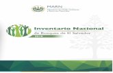 PLAN DE TRABAJO 2 · PLAN DE TRABAJO 3 Inventario Nacional de Bosques de El Salvador (IBN) 2018