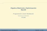 Álgebra Matricial y Optimización Ma130 - Teccb.mty.itesm.mx/materias/ma4011/materiales/ma4011...Una compañía fabrica dos tipos de productos, el tipo Ay el tipo B. Un producto Ase