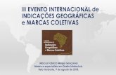III EVENTO INTERNACIONAL de INDICAÇÕES GEOGRÁFICAS e ...datasebrae.com.br/wp-content/uploads/2018/08/Fabricio-Welge.pdf · III EVENTO INTERNACIONAL de IGs e MCs •Por que proteger