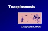 Toxoplasmosispatologiaclinicamexicana.org.mx/pdfs/memo/Toxoplasmosis2015-1.… · Toxoplasma gondii Morfología Trofozoíto, taquizoíto o bradizoíto en forma de arco y mide de 7
