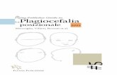 Mera˜iglia, Villani, Brunati et al. - Flying Publisherpdf.flyingpublisher.com/FPG_005_PlagiocefaliaPosizionale2011.pdf · precisamente alle prime fasi della cultura Tiahuanaco (circa