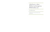 Atlas de Micologia Médica - Controllab · Atlas de Micologia Médica 2 Em relação a cada colônia descreva e dê o diagnóstico. Colônia 01: Cultura em ágar Mycosel de lesão