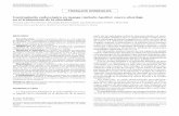 Gastroplastia endoscópica en manga (método Apollo): nuevo ...scielo.isciii.es/pdf/diges/v108n4/es_original5.pdf · dían a la unidad de Endoscopia Bariátrica del Hospital Universitario