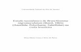 Estudo taxonômico de Branchiomma nigromaculatum (Baird ...livros01.livrosgratis.com.br/cp035969.pdf · complexo de pelo menos cinco espécies: B. nigromaculatum (PAN e ITA), Branchiomma