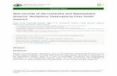 New records of Gerromorpha and Nepomorpha (Insecta ... New information New records are presented for
