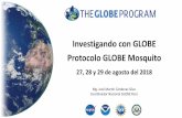 Investigando con GLOBE Protocolo GLOBE Mosquito · 2019-02-27 · Protocolos de la Hidrósfera • Los mosquitos son insectos comunes que ocurren en muchos lugares alrededor del mundo,