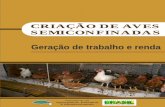 CRIAÇÃO DE AVES SEMICONFINADASfiles.quinta-flor-do-sol.webnode.pt/200000298-80cf981f04/Criacao-de-aves...alimentação das famílias e, muitas vezes, auxiliando como parte da renda