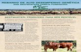 Isa Beefmasters brochure 8.5x11 Portuguese.qxp Layout 1 7 ... · manter e vender elevados números de bezerros gordos em confinamento. Na década de 90 do século passado, nossa subsidiária
