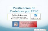 Purificación de Proteínas por FPLC...de histidinas (His-tag) en el C-terminal. En el marco del trabajo de maestría, los plásmidos ya fueron verificados por secuenciación y ya