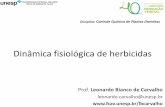 Dinâmica fisiológica de herbicidas - Unesp · Absorção radicular Difusão ou Fluxo de massa Modificado de Aldrich (1984) Absorção radicular Modificado de Aldrich (1984) e Oliveira