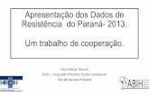Apresentação dos Dados de Resistência do Paraná-2013 Um ... · Agulhas de crochet X A ABIH parabeniza os colegas Maranhenses, em especial a Dra. Rosângela Cipriano, pela formação