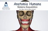 Anatomia Humana - Portal do aluno...nascidos. O crânio do recém-nascido possui seis fontanelas. As fontanelas são popularmente denominadas de moleira. As fontanelas fazem com que