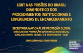 LGBT NAS PRISÕES DO BRASIL: DIAGNOSTICO DOS ......LGBT NAS PRISÕES DO BRASIL: DIAGNOSTICO DOS PROCEDIMENTOS INSTITUCIONAIS E EXPERIENCIAS DE ENCARCERAMENTO SECRETARIA NACIONAL DE