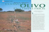 biblioteca.inia.clbiblioteca.inia.cl/medios/biblioteca/ta/NR25773.pdf · limitantes para la difusión del olivo en estas nuevas áreas del secano interior de Malleco y el sector costero