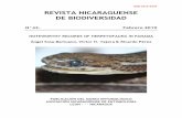 REVISTA NICARAGUENSE DE BIODIVERSIDAD · REVISTA NICARAGUENSE DE BIODIVERSIDAD. No.43. 2019 ... Pérez-Santos, C. 1999. Serpientes de Panamá. Publicaciones del Comité ... The Venomous