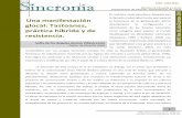 Una manifestación glocal: Tastoanes, práctica híbrida y de ...sincronia.cucsh.udg.mx/pdf/2014/acosta_66.pdf · Reconquista medieval en España- en esta contemporaneidad de tiempo