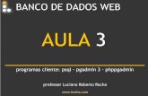 AULA 3 - lrocha.com.brlrocha.com.br/arquivos/arquivos/BdWeb (PostgreSQL... · Para se conectar a um banco de dados é necessário fornecer como parâmetros o nome do banco de dados,
