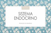 Sistema endócrino - Escola Monteiro Lobato Maceió€¦ · sistema endÓcrino produÇÃo de hormÔnios . sistema endÓcrino: comanda as diversas funÇÕes do corpo + sistema nervoso
