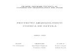 Proyecto arqueologico cuenca de Sayulahorizon.documentation.ird.fr/exl-doc/pleins_textes/... · la cultura olmeca.: . . ., . Le anterior realmente margin6 durante mucha tiempo al
