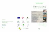 Que Futuro para os Olivais de Encosta e Montanha? _Inscricao2.pdf · sistemas de produção olivícola em zonas de encosta e montanha - Jan de Graaff (Erosion and Soil & Water Conservation