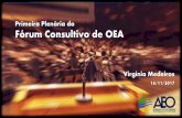 Primeira Plenária do Fórum Consultivo de OEAreceita.economia.gov.br/orientacao/aduaneira/importacao...2017/11/16  · h. DI parametrizada para canal diferente de verde, prioridade