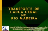 TRANSPORTE DE CARGA GERAL NO RIO MADEIRAportal.antaq.gov.br/wp-content/uploads/2016/12/O... · navegabilidade no Rio Madeira, como o desbarrancamento das margens, o transporte de