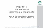 PRO2511 Laboratório de Sistemas de Informaçãopro.poli.usp.br/wp-content/uploads/2012/07/Trabalhos_2012_28Jun… · Manual usuário D09 Relatório Final D07’s ... –Controle