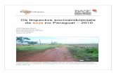 Os impactos socioambientais da soja no Paraguai – 2010 · Fonte: Capeco O rendimento tem sofrido altas e baixas na última década. Em 2000 foi de 2,4 toneladas por hectare, enquanto