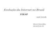 Evolução da Internet no Brasil · (a discussão acadêmica sobre padrões e protocolos de rede) ... apresentação, movimentação ou recuperação de informações. § 1º Serviço