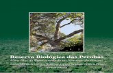 Reserva Biológica das Perobas - ITTI · Yara Moretto é doutora em Ciências (Área de Concentração: Ciências Ambientais) pela Universidade Estadual de Maringá, professora da