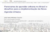 Panorama da questão urbana no Brasil e desafios para a ... · IV Seminário Nacional de Política Urbana e Ambiental: desafios do projeto de cidade –CAU/BR Brasília –4 e 5 de