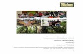 para a busca e aprimoramento da conservação da natureza e ...frepesp.org.br/wp-content/uploads/2018/05/RelatórioFREPESP-Ativid… · fotógrafos, empresas e empresários, turismólogos,