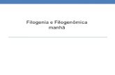 Filogenia e Filogenômica manhã - Unespgenomics.fcav.unesp.br/Aulas/Aula6/1.pdf · Sistemática Objetivo da Sistemática: •Nomear, descrever, classificar e identificar os organismos