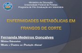 Universidade Federal de Pelotas - Fernanda Medeiros Gonçalves · Incidência de Doenças Metabólicas em Frangos de Corte no Sul do Brasil e Uso do Perfil Bioquímico Sanguíneo