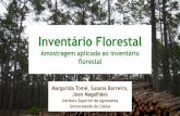 Inventário Florestal · amostragem tem como consequência: –O resultado de um inventário florestal não é exacto, vindo afectado de um erro –o erro de amostragem –o qual