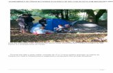 ACAMPAMENTO DE FÉRIAS NO PARQUE ECOLÓGICO DE SÃO … · Carlos, é o Acampamento de Férias. Durante três dias e duas noites, crianças de 10 a 13 anos podem acampar no interior