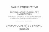 TALLER PARTICIPATIVO · ESTRATEGIA NACIONAL DE CAMBIO CLIMÁTICO Y RECURSOS VEGETACIONALES DE CHILE SANTA CRUZ, 25 DE AGOSTO DE 2015.- GRUPO FOCAL N° 2 y 5RADAL-BOLLÉN . Nombres