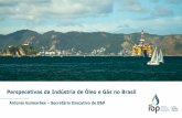 Perspecetivas da Indústria de Óleo e Gás no Brasilaz545403.vo.msecnd.net/uploads/2017/05/antonio-guimaraes.pdfCompetitividade do Setor no Brasil Impactos da Crise nos Investimentos