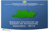 Balança Comercial do Amazonas - sedecti.am.gov.br · PARTICIPAÇÃO DOS MUNICÍPIOS DO AMAZONAS NA BALANÇA COMERCIAL 12 9. MAPA DAS EXPORTAÇÕES E IMPORTAÇÕES DO AMAZONAS 14