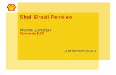 Shell Brasil Petróleo - az545403.vo.msecnd.netaz545403.vo.msecnd.net/uploads/2013/07/Palestra... · Geologia e Geofísica Interpretação e Processamento Aquisição Perfuração,