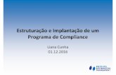 Estruturação e Implantação de um Programa de Compliancedocmanagement.com.br/wp-content/uploads/2016/12/liana-cunha.pdf• Membro da Comissão de Compliance da Interfarma (desde